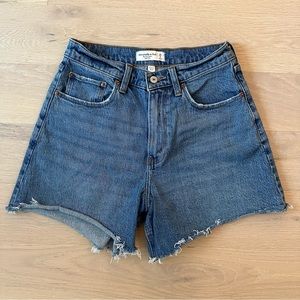 A&F Curve Love 28 High Rise Dad Short